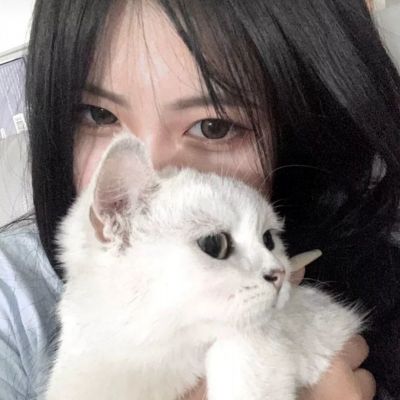 仙魔纪九游版下载